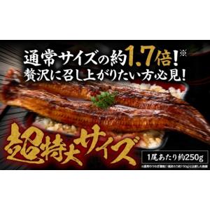 ふるさと納税 うなぎ 鹿児島県 鹿屋市 土用の...の詳細画像3