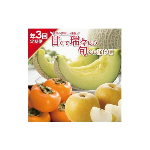 ふるさと納税 メロン メロン青肉 山形県 酒田市  3回定期便 酒田の美味しい果物 甘くて瑞々しい旬...