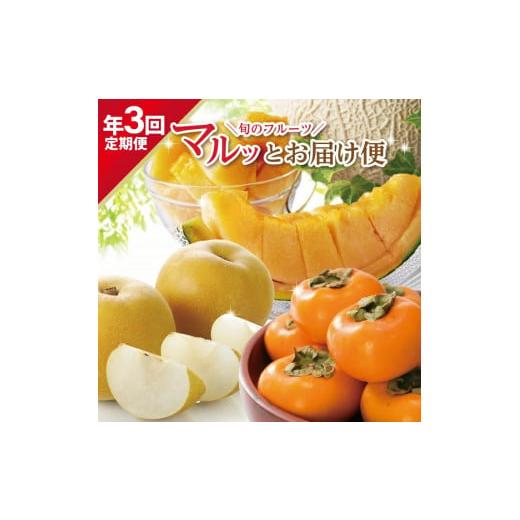 ふるさと納税 メロン メロン赤肉 山形県 酒田市  3回定期便 旬のフルーツ マルッとお届け便202...