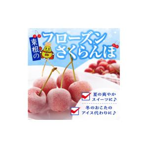 ふるさと納税 果物類 さくらんぼ 山形県 東根...の詳細画像2