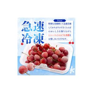 ふるさと納税 果物類 さくらんぼ 山形県 東根...の詳細画像3