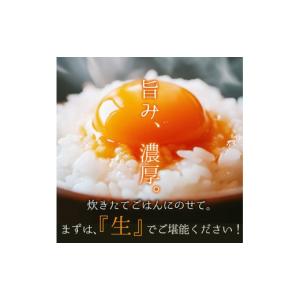 ふるさと納税 卵(鶏、烏骨鶏等) 京都府 舞鶴...の詳細画像3