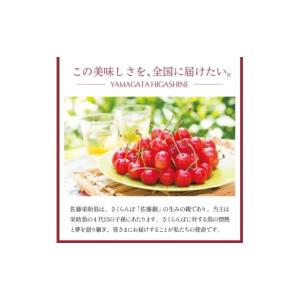 ふるさと納税 果汁飲料 山形県 東根市 さくら...の詳細画像4