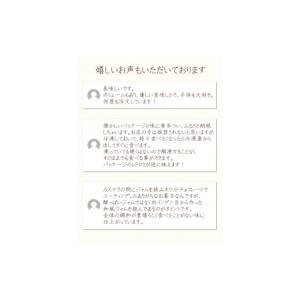ふるさと納税 ケーキ・カステラ 和歌山県 田辺...の詳細画像5