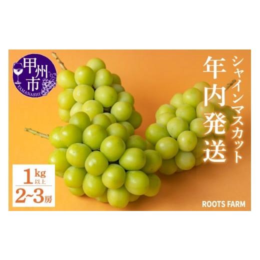 ふるさと納税 ぶどう マスカット 山梨県 甲州市 低温貯蔵シャインマスカット1kg以上 2〜3房 2...