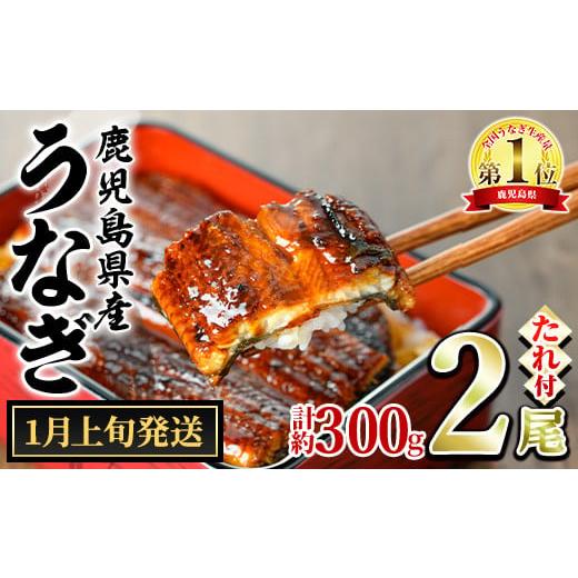 ふるさと納税 うなぎ 鹿児島県 東串良町  0124326a-2601 1月上旬発送予定 東串良町の...