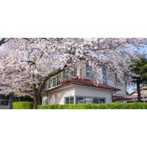 ふるさと納税 文房具・玩具 埼玉県 ふじみ野市...の詳細画像5