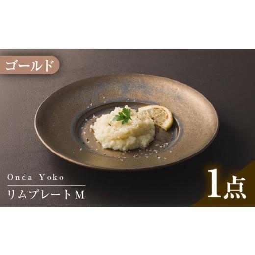 ふるさと納税 食器・グラス 皿 岐阜県 瑞浪市  美濃焼 恩田陽子 リムプレート M 23.5cm ...