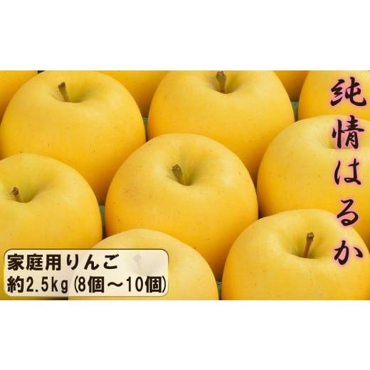 ふるさと納税 りんご 岩手県 花巻市 花巻産　純情はるか2.5kg 自家用 （8個〜10個） 204...