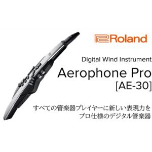 ふるさと納税 雑貨・日用品 静岡県 浜松市 Roland 電子管楽器／Aerophone Pro AE-30 配送不可：離島 No.5786-5450