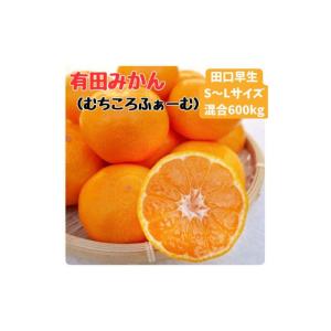 ふるさと納税 果物類 みかん 和歌山県 有田川町 有田みかん 早生S〜Lサイズ混合 約600kg 2026年発送 先行予約