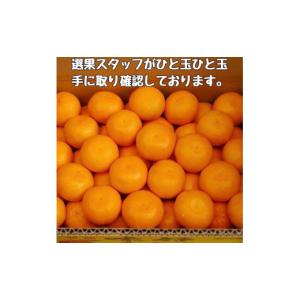 ふるさと納税 果物類 みかん 和歌山県 有田川...の詳細画像2