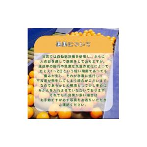 ふるさと納税 果物類 みかん 和歌山県 有田川...の詳細画像3