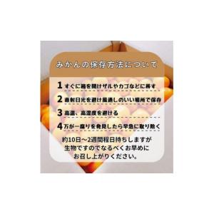 ふるさと納税 果物類 みかん 和歌山県 有田川...の詳細画像4
