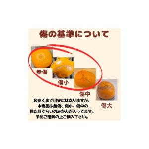 ふるさと納税 果物類 みかん 和歌山県 有田川...の詳細画像5