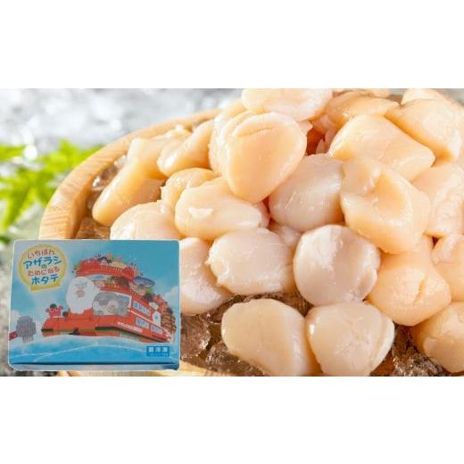 ふるさと納税 魚貝類 ホタテ 北海道 紋別市 17-102 いちばんアザラシのためになるホタテ