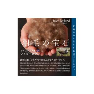 ふるさと納税 タオル・寝具 掛け布団 山梨県 ...の詳細画像3