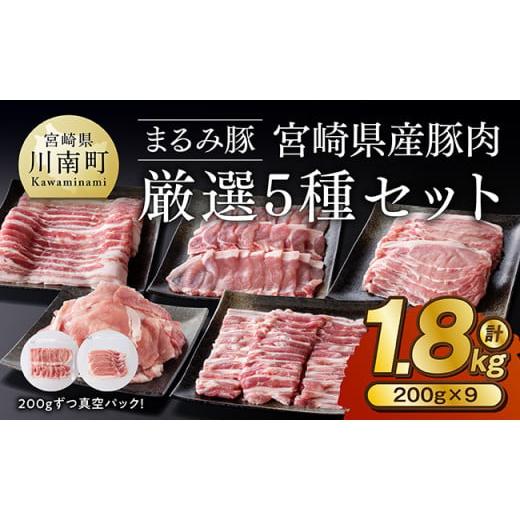 ふるさと納税 豚肉 バラ 宮崎県 川南町 「まるみ豚」宮崎県産豚肉　厳選5種セット　計1.8kg 豚...