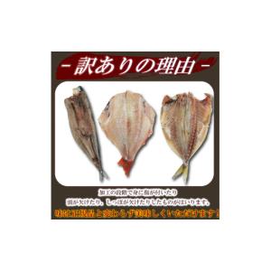ふるさと納税 川魚 静岡県 沼津市 訳あり 干...の詳細画像4