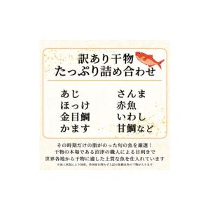 ふるさと納税 川魚 静岡県 沼津市 訳あり 干...の詳細画像5