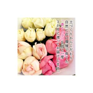 ふるさと納税 花・苗木 花束 静岡県 藤枝市 ...の詳細画像2