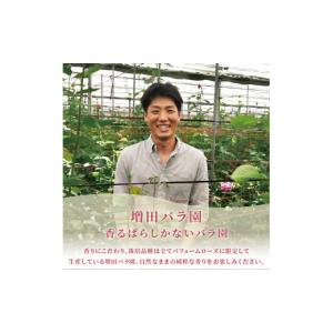 ふるさと納税 花・苗木 花束 静岡県 藤枝市 ...の詳細画像3