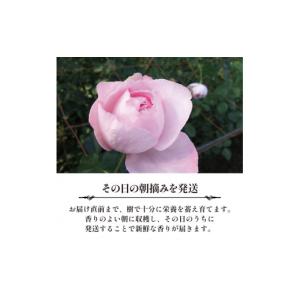 ふるさと納税 花・苗木 花束 静岡県 藤枝市 ...の詳細画像5