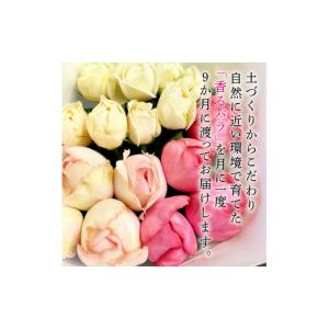 ふるさと納税 花・苗木 花束 静岡県 藤枝市 ...の詳細画像2