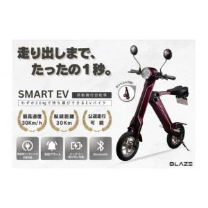 ふるさと納税 スポーツ・アウトドア 愛知県 名...の詳細画像1