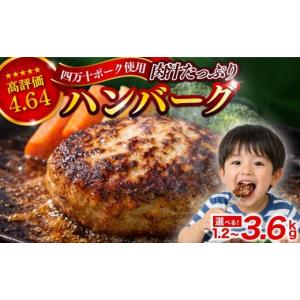 ふるさと納税 肉 ハンバーグ 高知県 須崎市 ハンバーグ 四万十ポーク 入り 3.6kg ( 200g × 18個 ) 冷凍 真空 小分け 個包装 肉汁 たっぷり 大容量 大きめ 合…