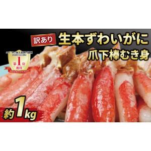 ふるさと納税 エビ・カニ等 カニ 愛媛県 宇和島市 ＼10営業日以内発送／ カニ 蟹 訳あり 本ずわいがに 爪下 棒 むき身 約 1kg 生 本ズワイガニ ニューバーク k…