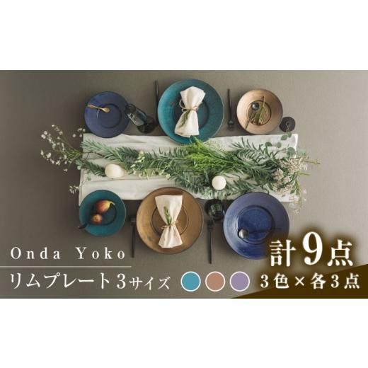 ふるさと納税 食器・グラス 皿 岐阜県 瑞浪市  美濃焼 恩田陽子 リムプレート 皿 3色×3サイズ...