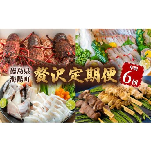 ふるさと納税 鶏肉 焼き鳥 徳島県 海陽町  定期便全６回 海陽町の『贅沢』定期便 クエ クエ鍋 牡...
