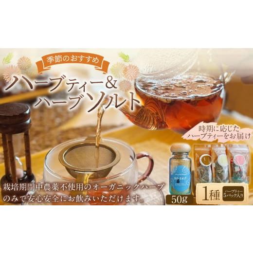ふるさと納税 お茶類 岐阜県 美濃加茂市  ハーブ専門店 ハーブソルト（50g）＆季節のハーブティー...