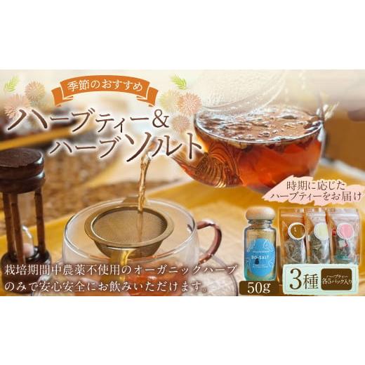 ふるさと納税 お茶類 岐阜県 美濃加茂市  ハーブ専門店 ハーブソルト（50g）＆季節のハーブティー...