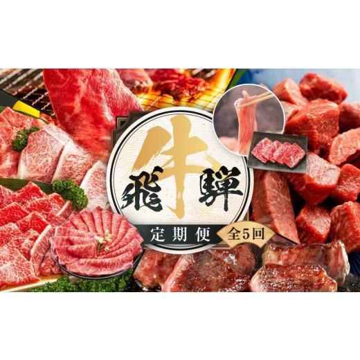 ふるさと納税 牛肉 サーロイン 岐阜県 高山市 飛騨牛 定期便 全5回 約 2.2kg ( 300g...