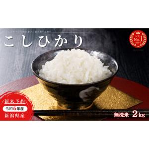 ふるさと納税 米 令和7年 つぶらなの米 農林48号 3合×3袋セット ふるさと納税 米 令和7年 つぶらなの米 農林48号 3合×3袋セット
