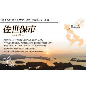 ふるさと納税 干物 サバ 長崎県 佐世保市 訳...の詳細画像5