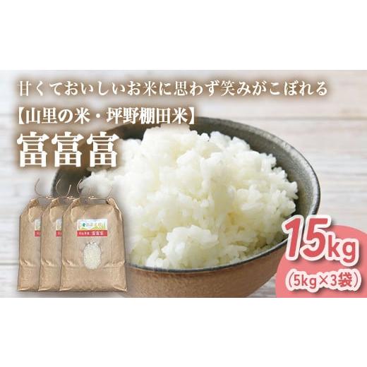 ふるさと納税 米 富山県 魚津市 山の湧き水 寒暖差 山里 山里の米・坪野米 R7年産 富富富 15...