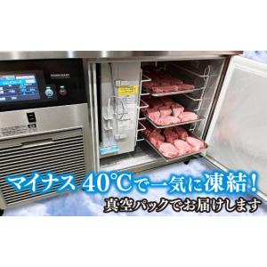ふるさと納税 牛肉 ヒレ 佐賀県 神埼市 定期...の詳細画像2