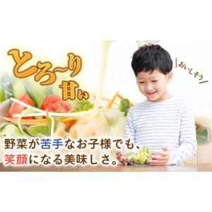 ふるさと納税 調味料・油 ドレッシング 長崎県...の詳細画像2