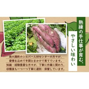 ふるさと納税 野菜類 サツマイモ 鹿児島県 南...の詳細画像4