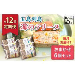 ふるさと納税 魚貝類 長崎県 新上五島町 全12回定期便 その時の旬をテリーヌで 五島列島 海のテリーヌ おまかせ6個セット DRONTE=DODO RBY006