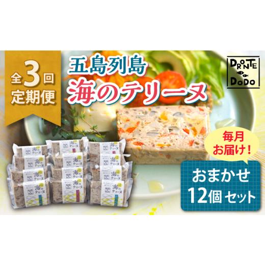 ふるさと納税 魚貝類 長崎県 新上五島町  全3回定期便 その時の旬をテリーヌで 五島列島 海のテリ...