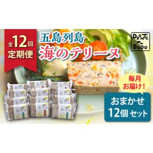 ふるさと納税 魚貝類 長崎県 新上五島町 全12...の商品画像