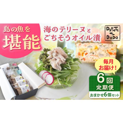 ふるさと納税 魚貝類 長崎県 新上五島町  全6回定期便 テリーヌとオイル漬で島の魚を堪能しませんか...