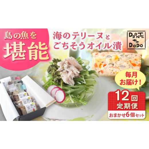 ふるさと納税 魚貝類 長崎県 新上五島町  全12回定期便 テリーヌとオイル漬で島の魚を堪能しません...