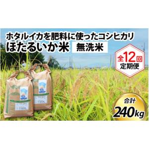 ふるさと納税 米 コシヒカリ 富山県 滑川市 訳...の商品画像