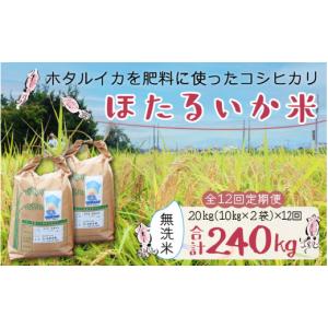 ふるさと納税 米 コシヒカリ 富山県 滑川市 ...の詳細画像1