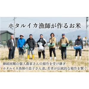 ふるさと納税 米 コシヒカリ 富山県 滑川市 ...の詳細画像2